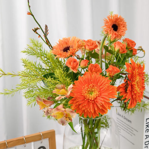 爱丽丝多头泡泡鲜花玫瑰花生日礼物云南昆明基地直发鲜花 - 图0