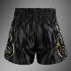 VENUM Venom VTC Flames Muay Thai shorts sports fitness training boxing combat sports fighting