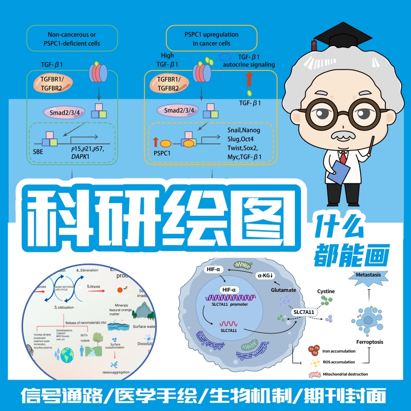 流程图示意图代画画科研绘图技术路线图sci期刊图医学图素材美化-图0