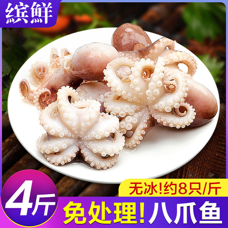 八爪鱼新鲜小章鱼海鲜水产鲜活小八爪鱼冷冻墨鱼仔八抓迷你大爆头,淘宝优惠券,粉丝福利购,淘宝优惠卷