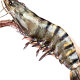 New arrival! Ice-free net weight extra large black tiger shrimp SF