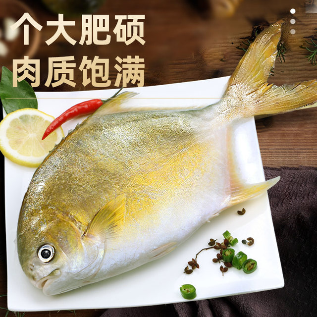 4 Extra Large Golden Pomfret New Arrival Live Fish Quick Frozen
