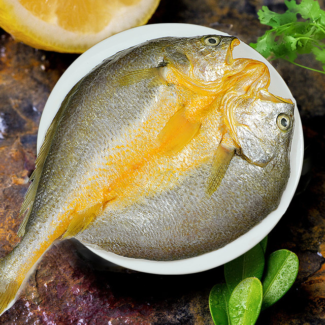 Live fish slaughter 10 ice-free extra large yellow croakers SF