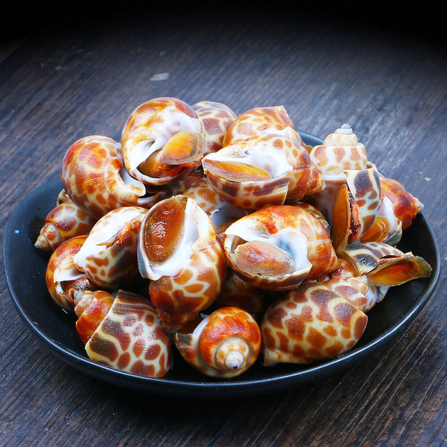 Fresh snails without Saudi large size new arrival SF Express
