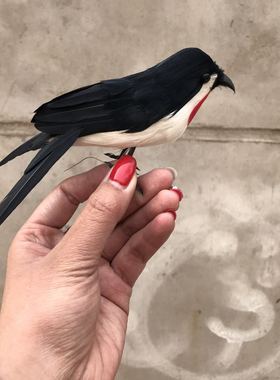 仿真羽毛金丝燕影视园林拍摄道具家燕室内家居摆件羽毛燕子饰品