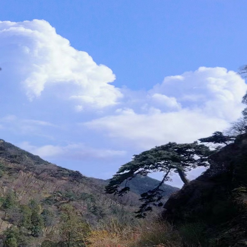 泰山全景、大明湖、趵突泉、芙蓉街品质二日游 - 图0