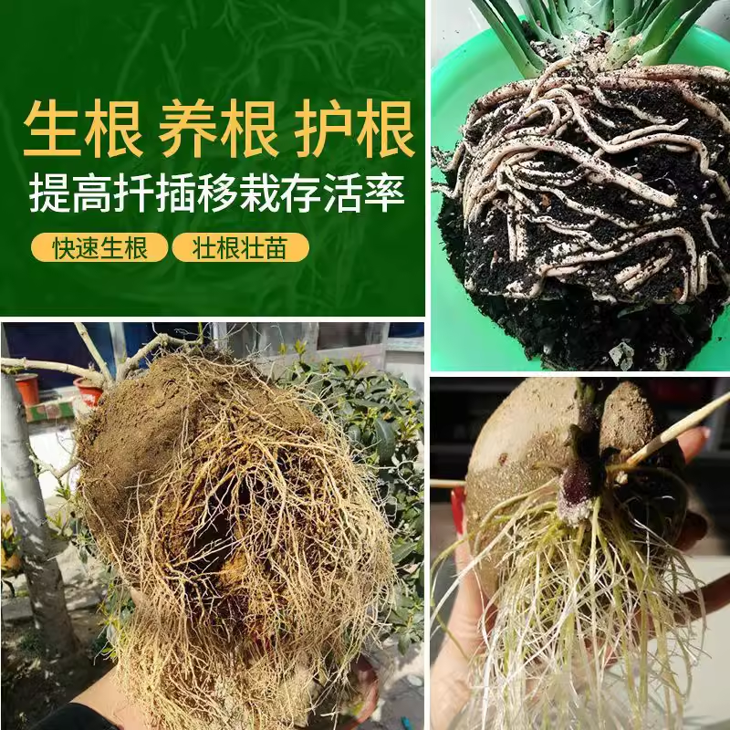 强力生根粉植物通用生根剂果树木移栽月季扦插专用营养液水溶肥料,淘宝优惠券,粉丝福利购,淘宝优惠卷