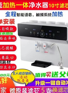 井水加热一体机壁挂净水器家用直饮ro反渗透厨房自来水净化过滤器