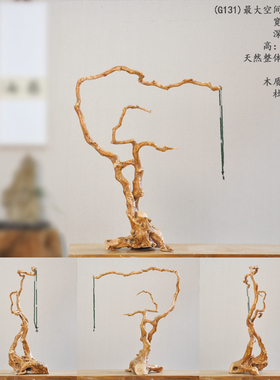 天然随形根雕笔挂架鹦鹉栖息站
