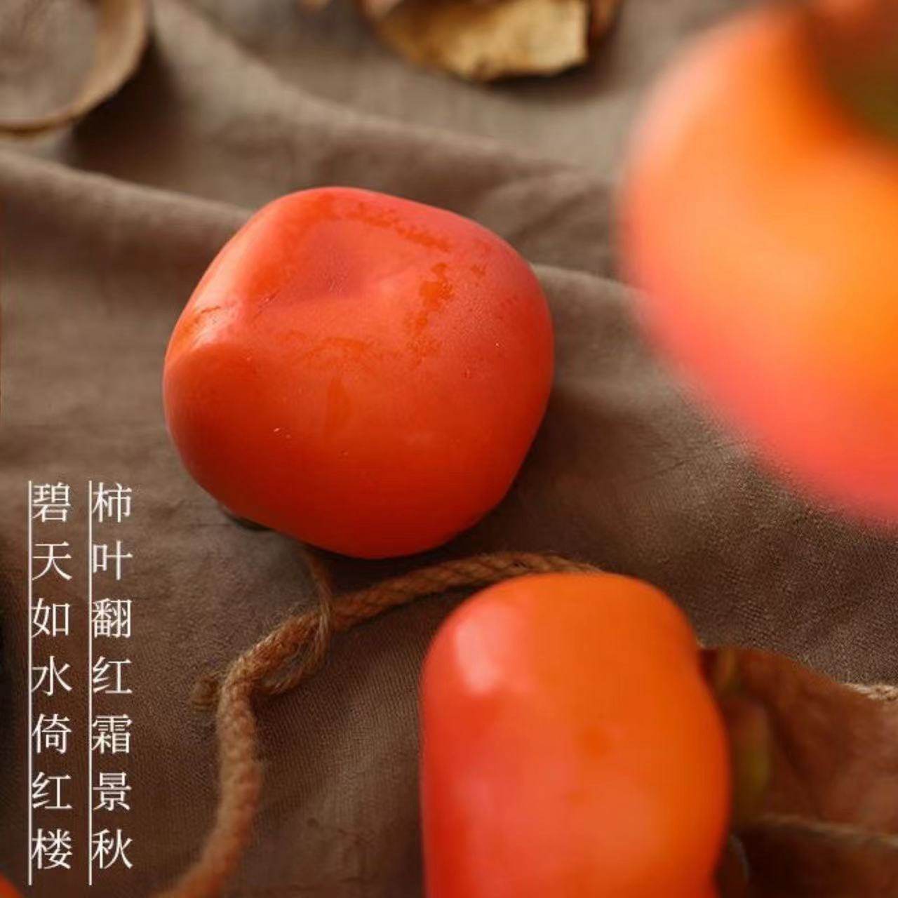 仿真柿子串墙上挂件客厅茶室民宿花园装饰柿柿如意造景防水吊挂,淘宝优惠券,粉丝福利购,淘宝优惠卷