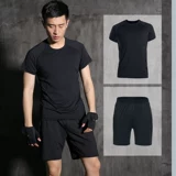 Шелковый быстросохнущий летний комплект для спортзала для тренировок, для бега