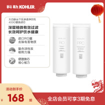 Reverse Osmosis Net Drinker -400G filter core in the Kohler Grand White dolphin
