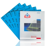 [Немецкие воины] полировка песчаника, полировка зеркало Венван