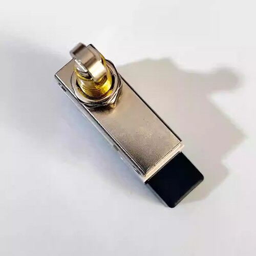 限位开关D4MC-5020行程开关 125VDC 5A 250VAC 10A 铜件银点SNJDQ - 图1