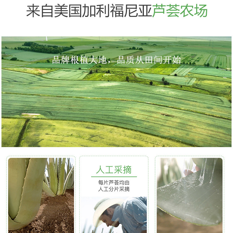 韩国施姈芦荟胶补水凝胶舒缓面膜 道沃居家日用身体乳液