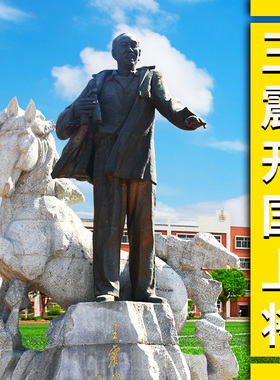 城市文化广场公园建设名人铸铜骑马王震将军户外大型人物石雕摆件