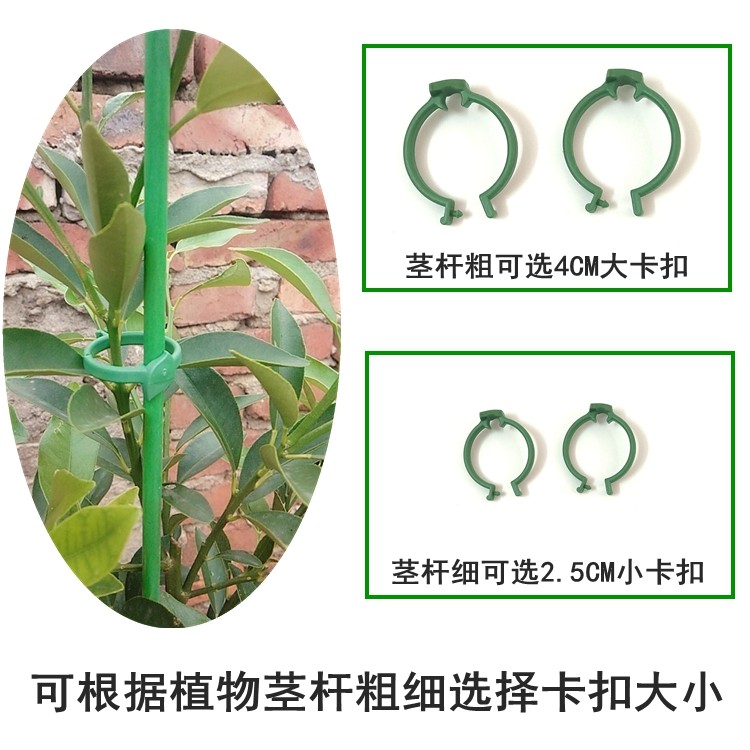 园艺种花盆栽植物支撑杆兰花天堂鸟金钱树支架爬藤架固定卡扣立柱 - 图1