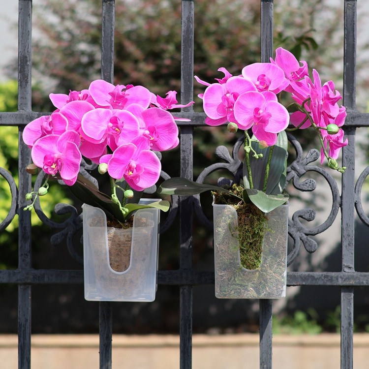 蝴蝶兰壁挂透明花盆多肉球兰板植种植定植篮阳台花架墙面吊挂花钵,淘宝优惠券,粉丝福利购,淘宝优惠卷