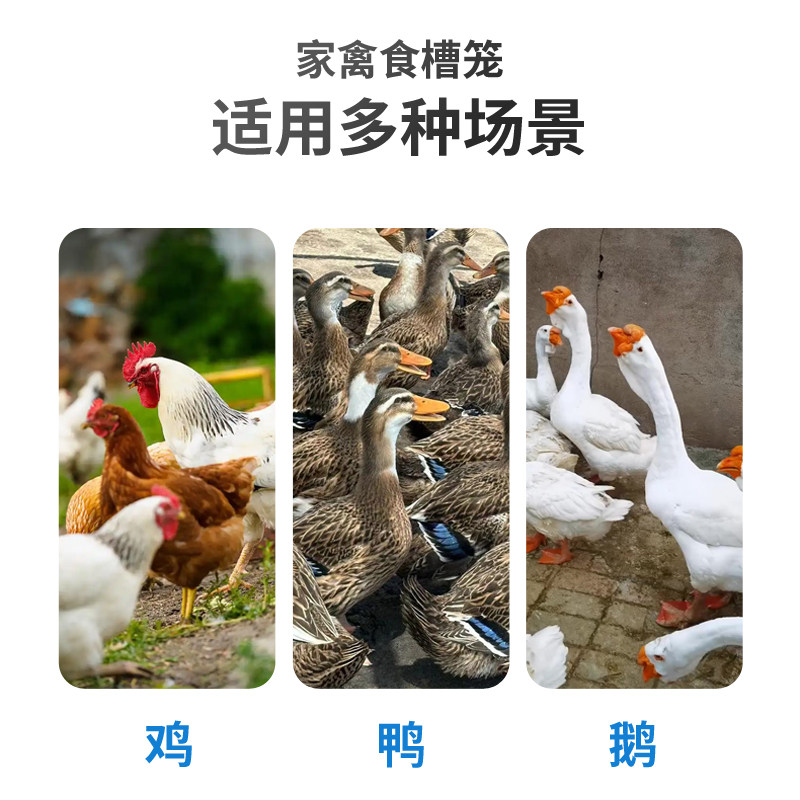 家禽食槽笼大容量分栏采食器加厚材质鸡鸭鹅安装简单养殖喂食盆,淘宝优惠券,粉丝福利购,淘宝优惠卷