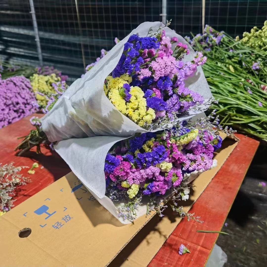 【云南基地直发】勿忘我半干花真花鲜花鲜艳花束风干客厅装饰摆件