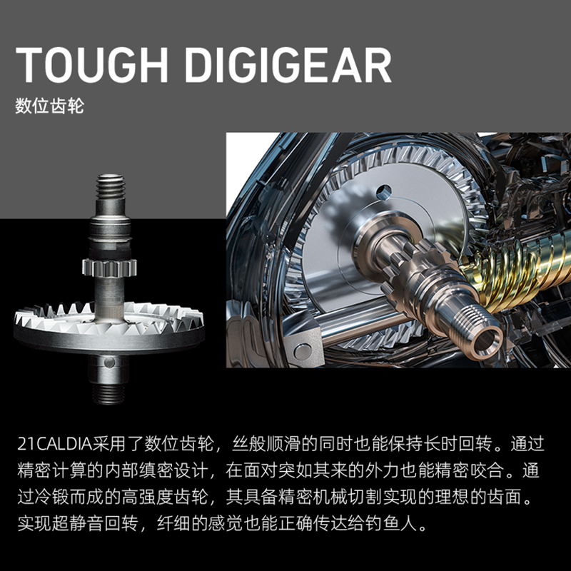 新款DAIWA达亿瓦路亚轮 CALDIA CS LT达瓦超轻纺车轮海钓矶钓轮-图0