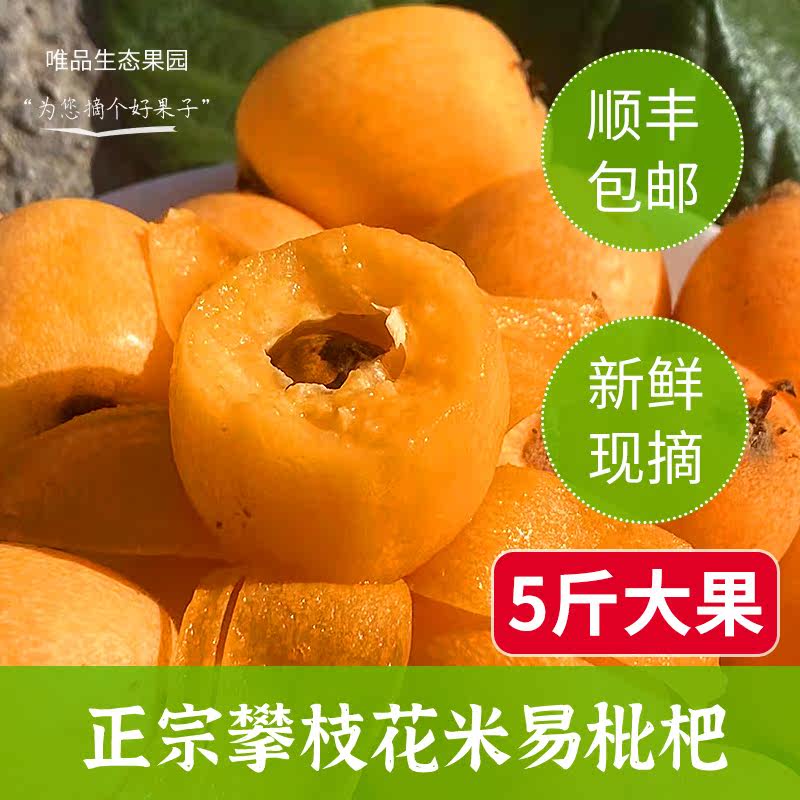 四川攀枝花米易枇杷新鲜正宗5斤大果（80个左右）顺丰包邮