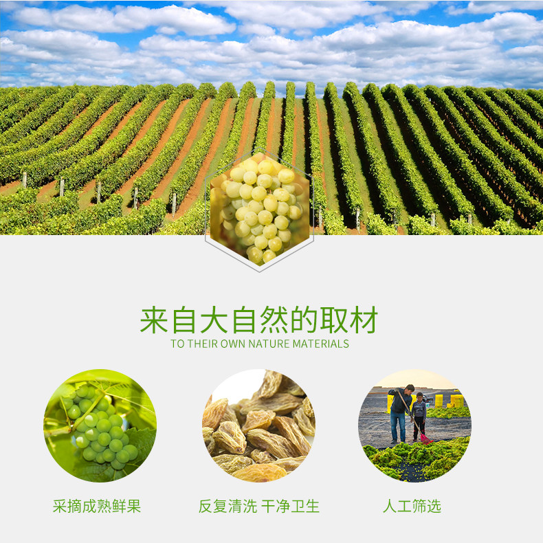 新疆特产葡萄干500g免洗即食5斤f 西襄记葡萄干