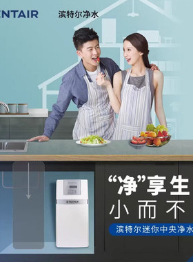 滨特尔中央净水器CF1000A全屋水处理别墅大流量净水系统过滤设备