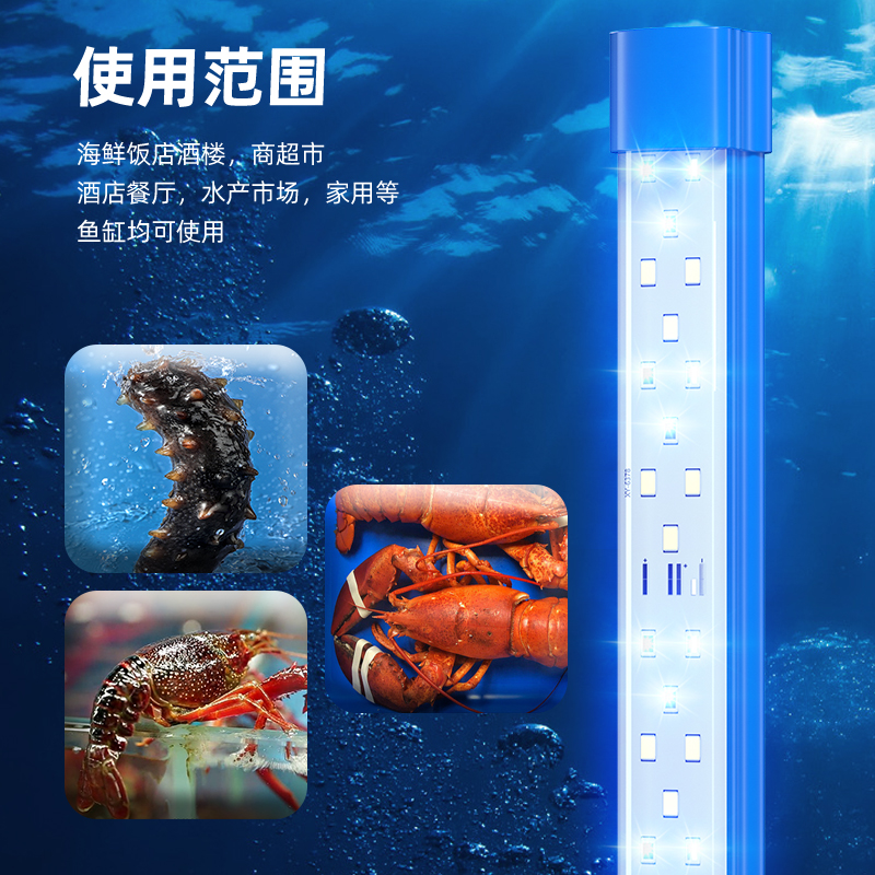 海鲜池防水灯鱼缸灯led灯防水海鲜专用灯蓝色照明灯鱼池灯水产灯 - 图0