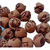 2023 New goods Zhengzong Linan pecorino --- a large seed grain (special exfoliating cream)