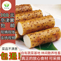 Zhengzong Fresh Iron Stick White Jade white jade Miyun farmhouse Self-planting now Discover Hair 5 Catty of Vegetable Long Pole