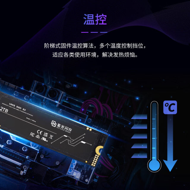 Purple Flash 1T/2TM.2 SSD
