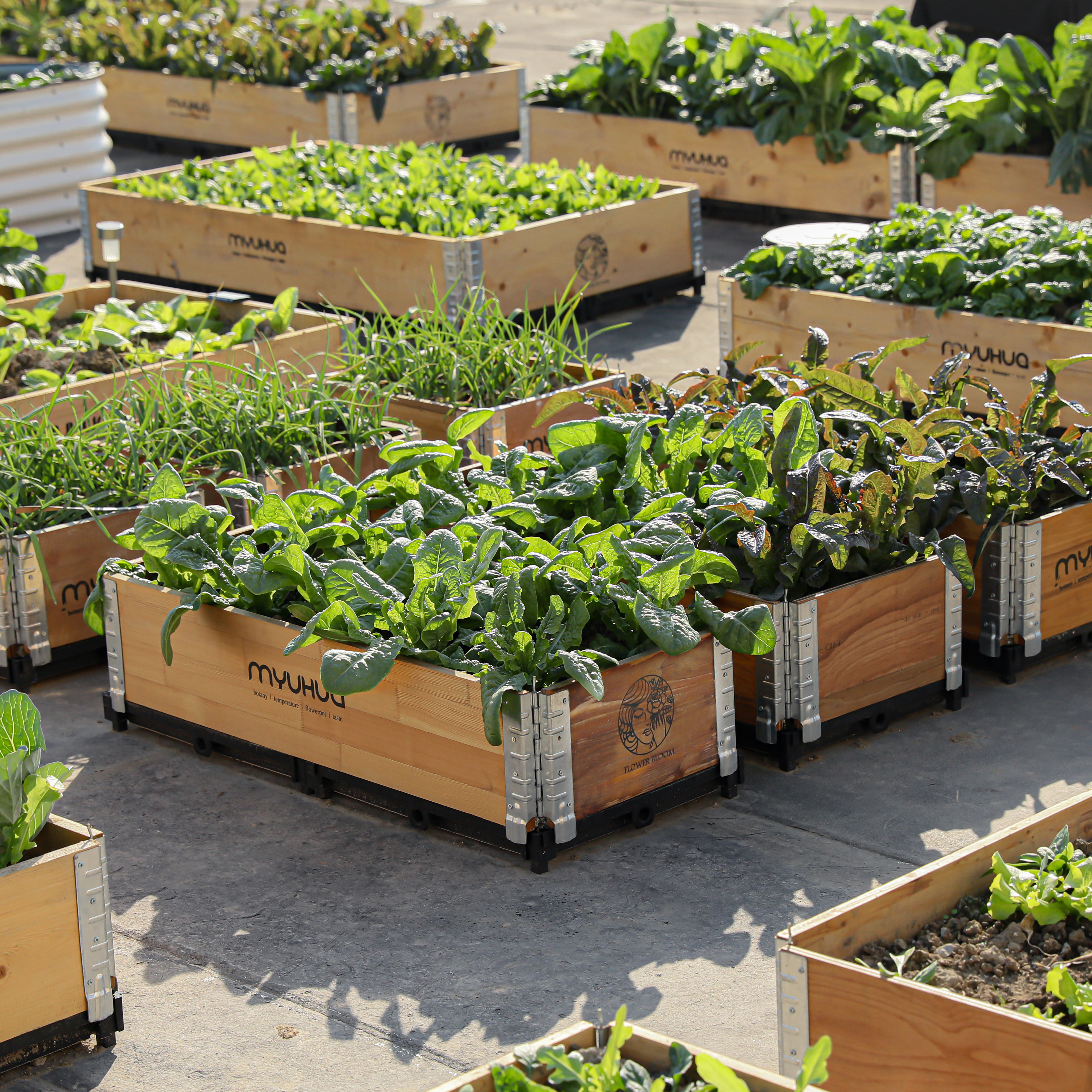 Anticorrosive wood planting box outdoor flower box vegetable box flower pot