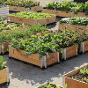 Anticorrosive wood planting box outdoor flower box vegetable box flower pot