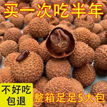 (New Goods) Fujian Ties Lychee Dry 500g * 2 Bags Farmyard Dry Goods Nuclear Small Meat Thick Lychee Meat Dry Glutinous Rice Glutinous Rice