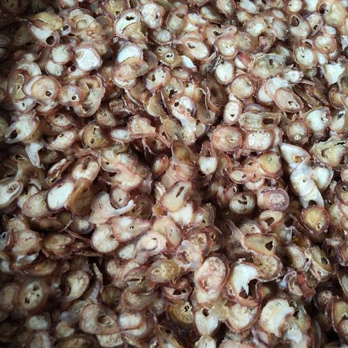 中药材泡酒料 吉林梅花鹿鞭片泡药酒料6元一袋10克 买3赠1 买5赠2 - 图0