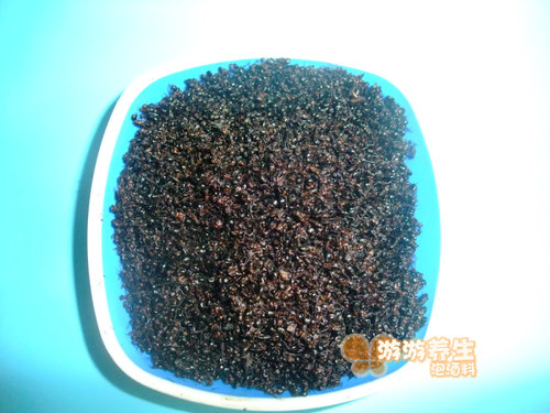 黑蚂蚁 长白山野生黑蚂蚁干一袋250克泡酒料中药材泡酒10袋包邮 - 图1