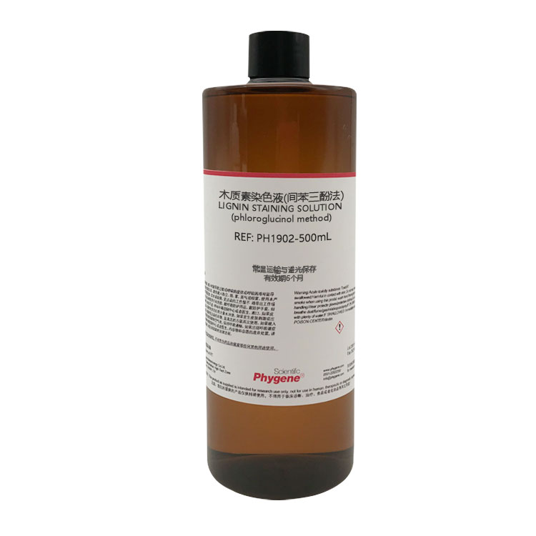 木质素染色液 间苯三酚染色液法 2×100mL 实验[PH1902 PHYGENE] - 图3