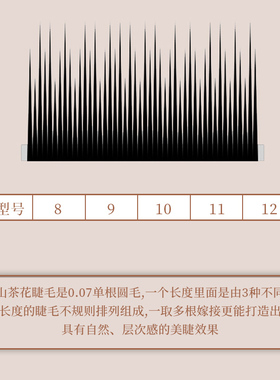 假睫毛粤丽婷进口山茶花