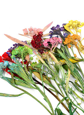 真花押花压花干花diy材料