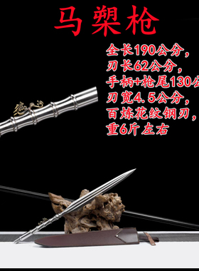 子龙枪龙胆枪红缨枪武术健身长矛