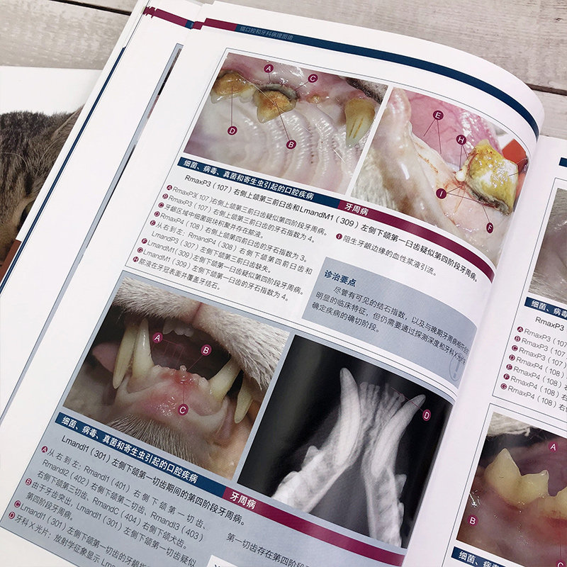 猫口腔和牙科病理图谱 犬猫组织学牙齿结构 犬猫齿系图谱 猫牙科病理图谱治疗手册小动物牙周探查图例 宠物医生兽医入门参考书