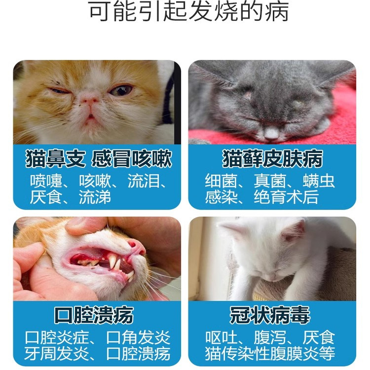 Veterinary Thermometer Cat and Dog Thermometer