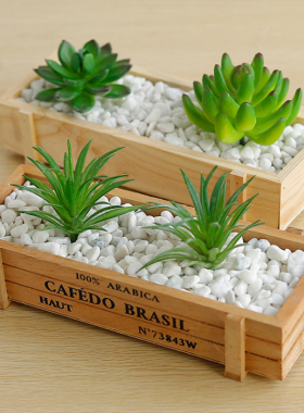 室内木质多肉植物盆栽收纳托盘