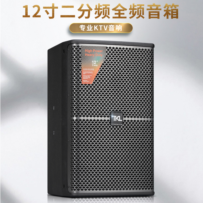 TKL easy to sing and effortless home karaoke audio set
