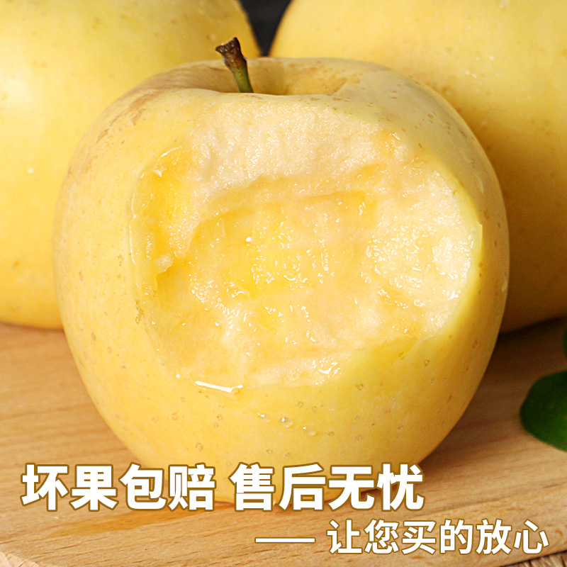 山东烟台黄金奶油富士苹果正宗牛奶 顾一苹果