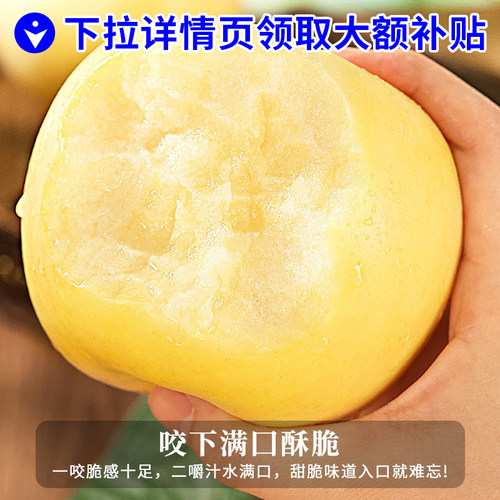 山东烟台黄金奶油富士苹果新鲜水果当季整箱现摘冰糖心包邮旗舰店 - 图0