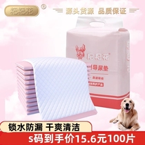 Pooch Urine Pad Water Absorbent Pad Pet Pee Sheet Urine Mat Diaper Big Dog Puppy Teddy Gold Maurine Not Wet Pet Supplies