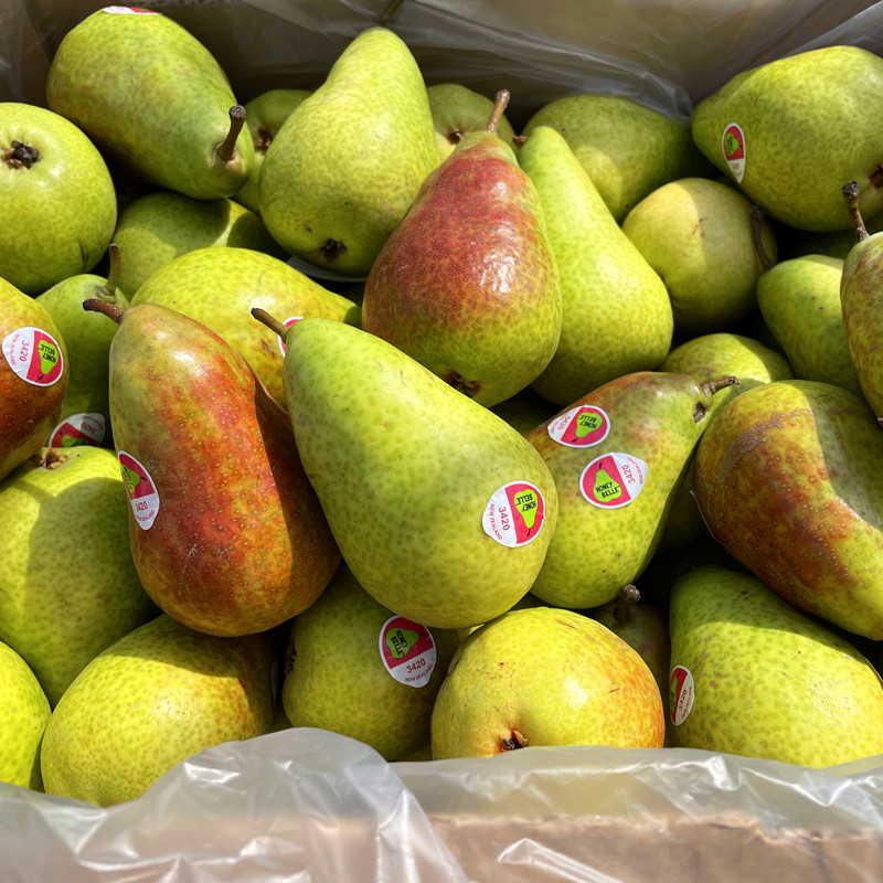 スタークリムソンペアー 西洋梨 小箱 約5玉 約6玉 山形県産 人気の新作