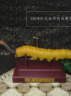 高仿真虫草模型招财冬虫夏草模型大型仿真大虫草模型吸睛店铺展示